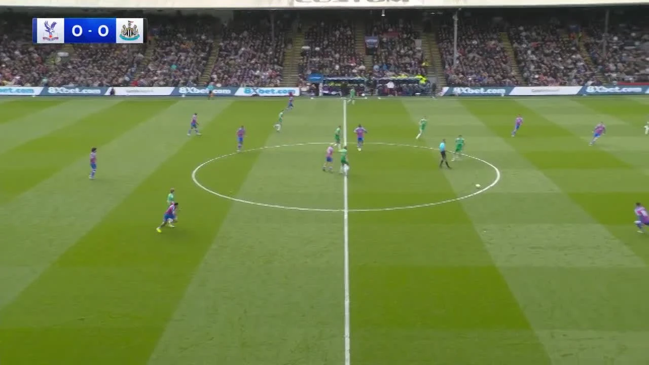 zaslepka skrotu video