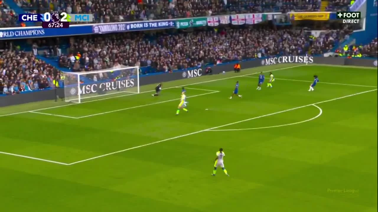 zaslepka skrotu video