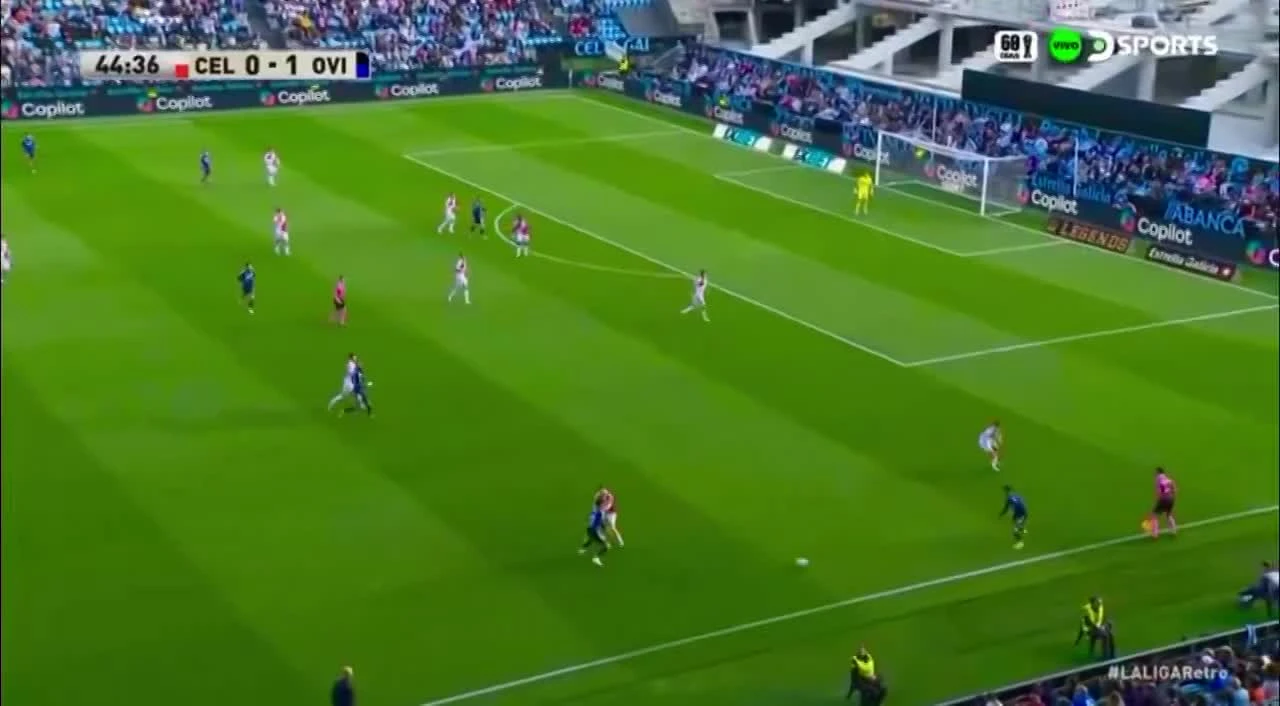 zaslepka skrotu video