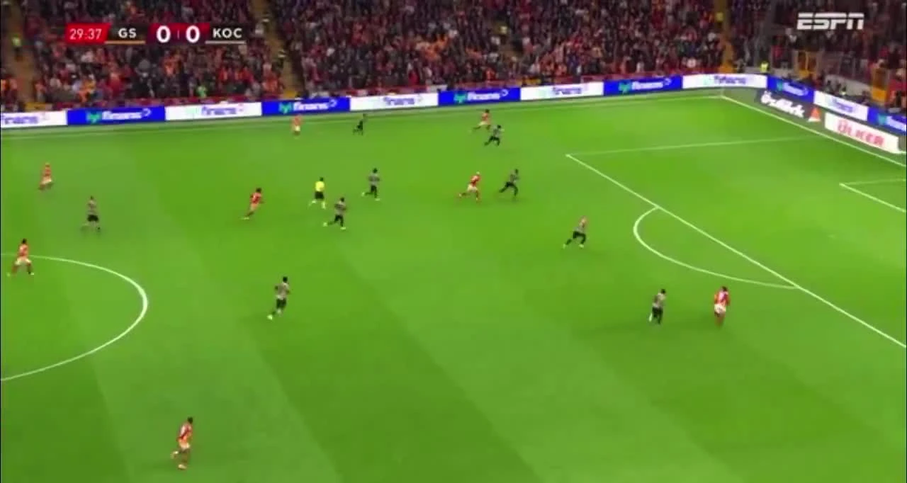 zaslepka skrotu video