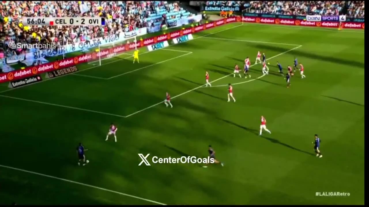 zaslepka skrotu video