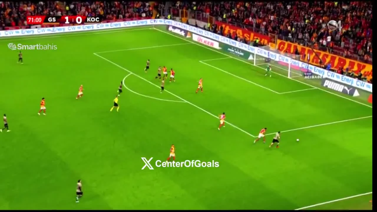 zaslepka skrotu video