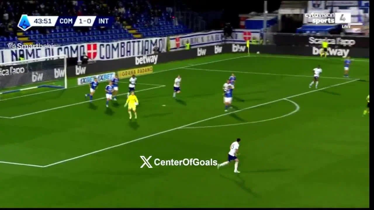 zaslepka skrotu video