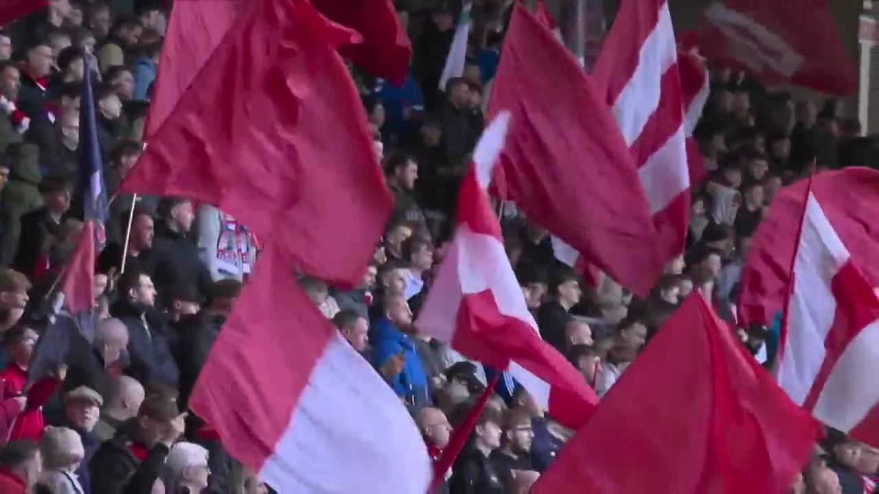 zaslepka skrotu video