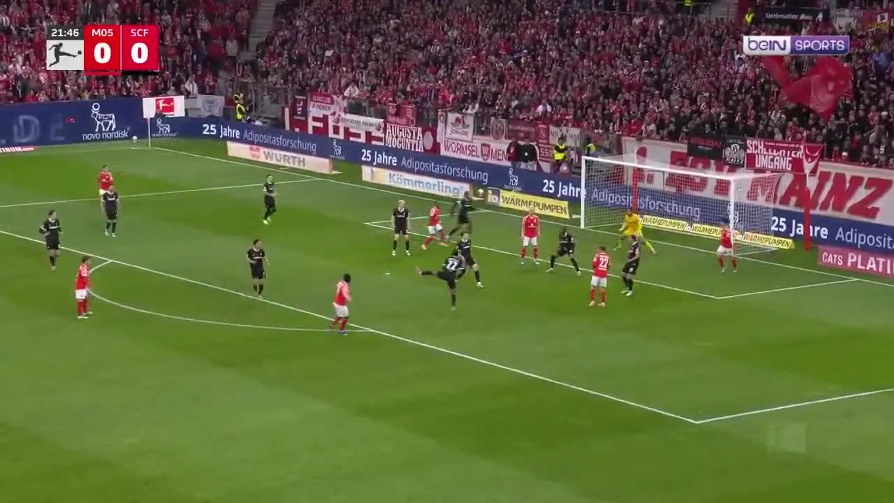 zaslepka skrotu video