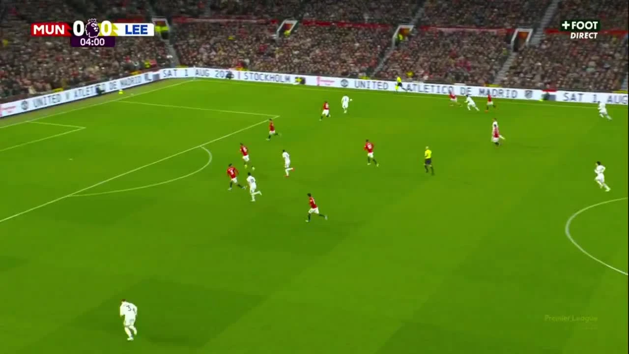 zaslepka skrotu video