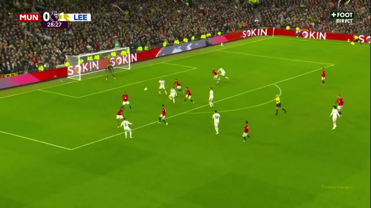 zaslepka skrotu video