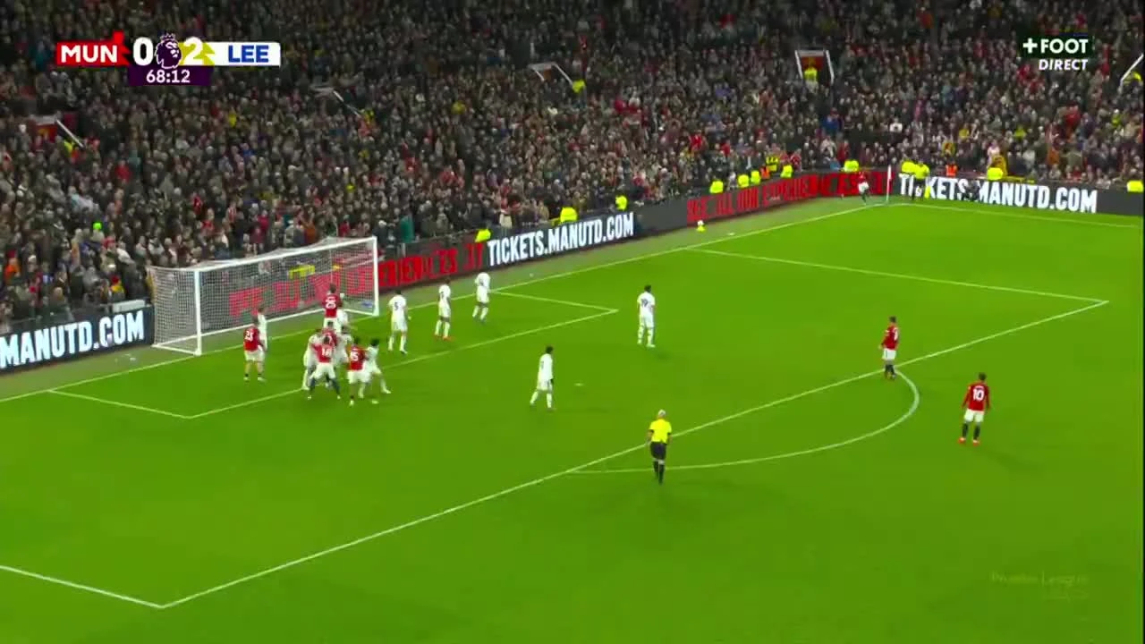 zaslepka skrotu video