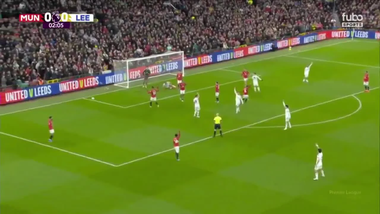 zaslepka skrotu video