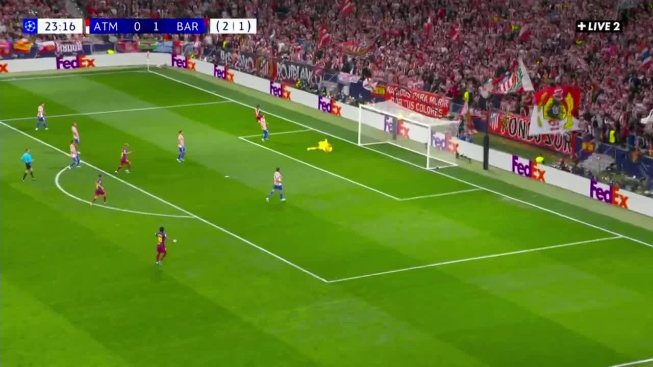 zaslepka skrotu video