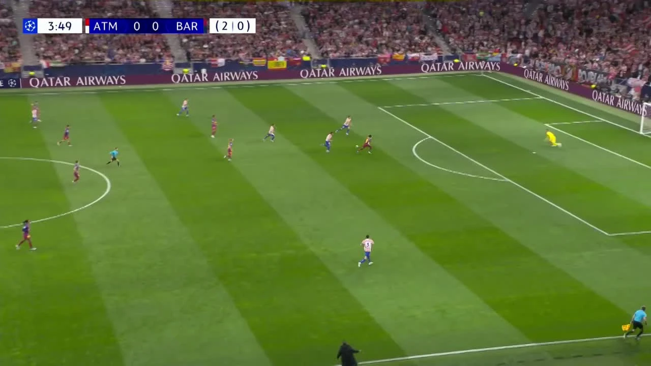 zaslepka skrotu video