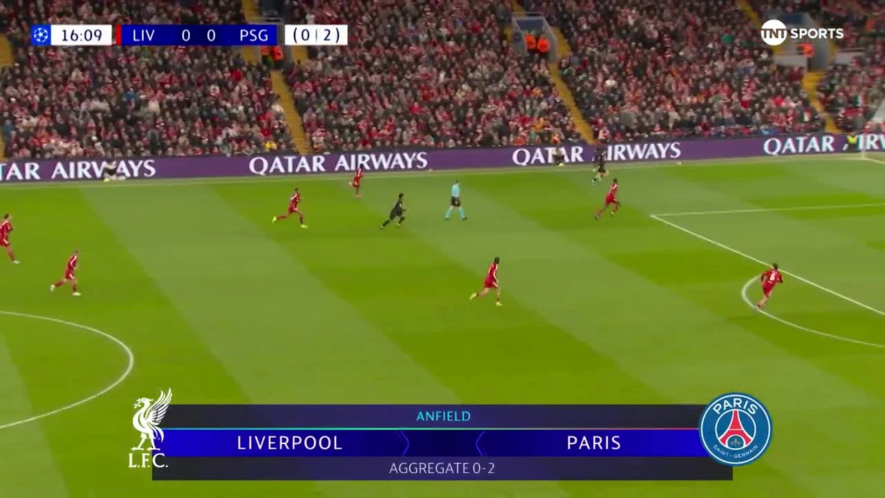 zaslepka skrotu video