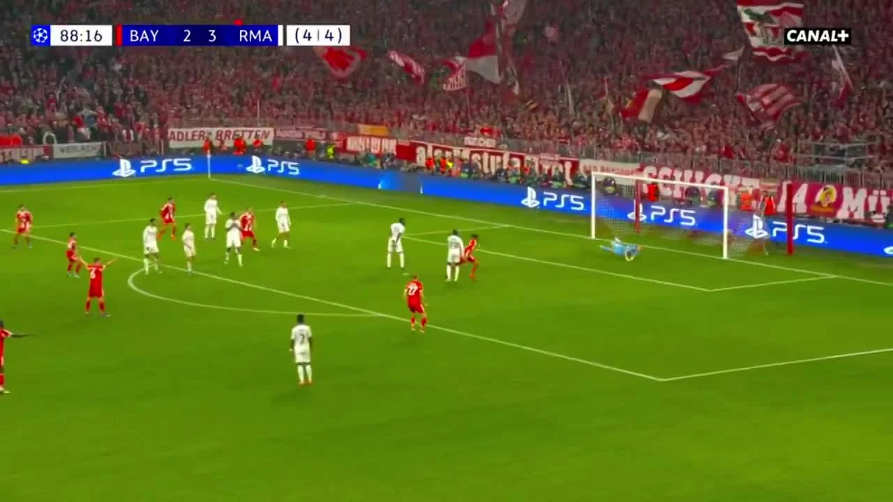 zaslepka skrotu video