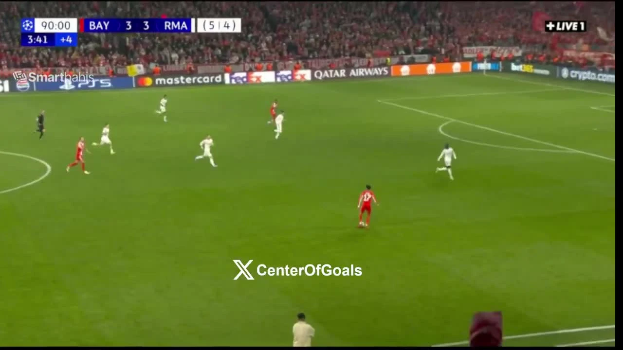 zaslepka skrotu video