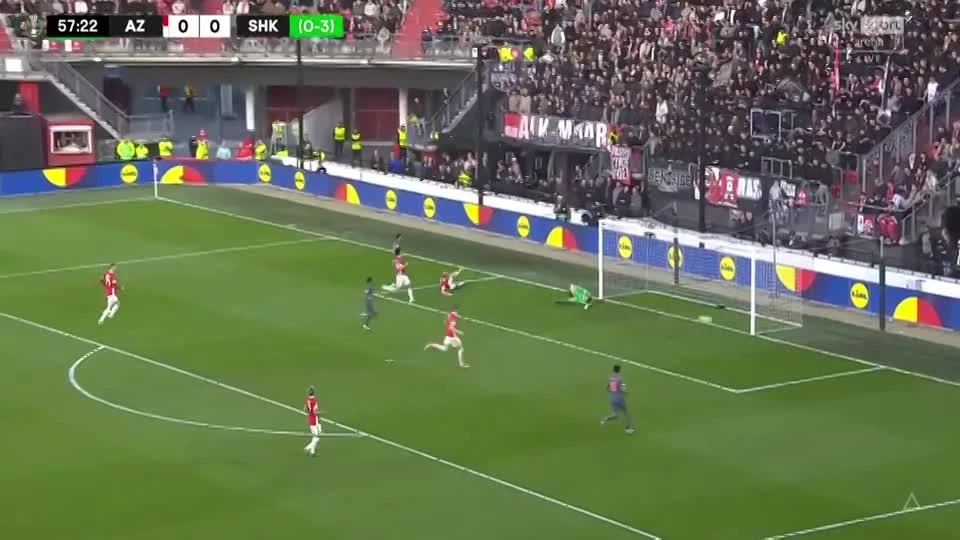 zaslepka skrotu video