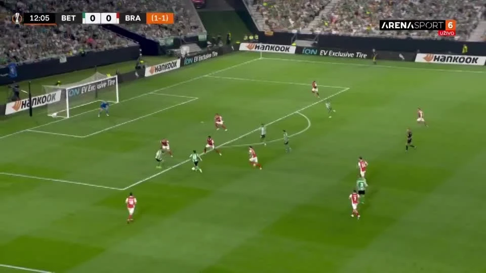 zaslepka skrotu video
