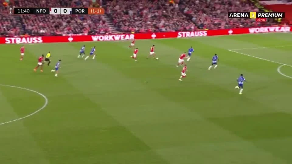 zaslepka skrotu video