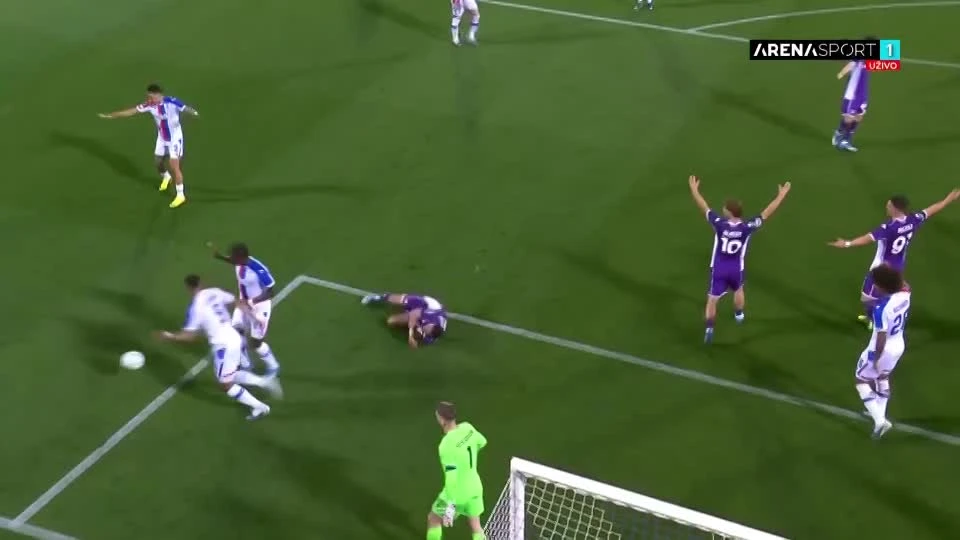 zaslepka skrotu video