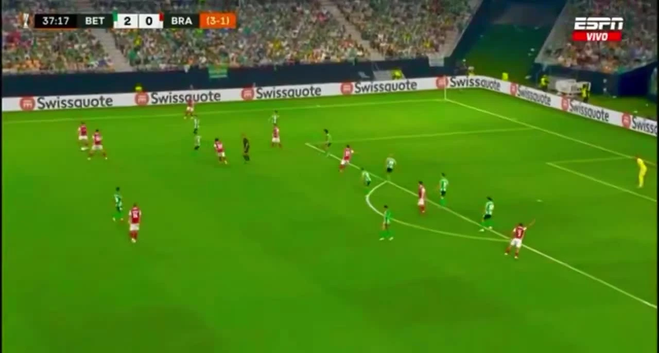 zaslepka skrotu video