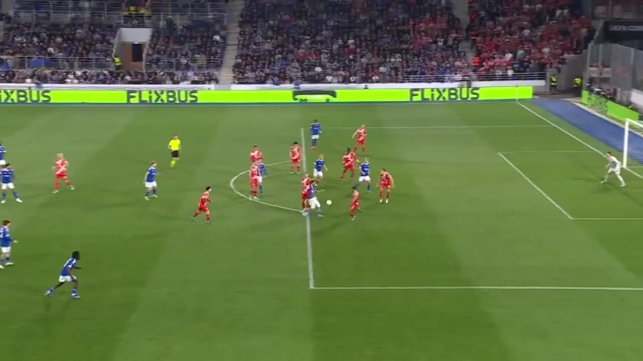 zaslepka skrotu video