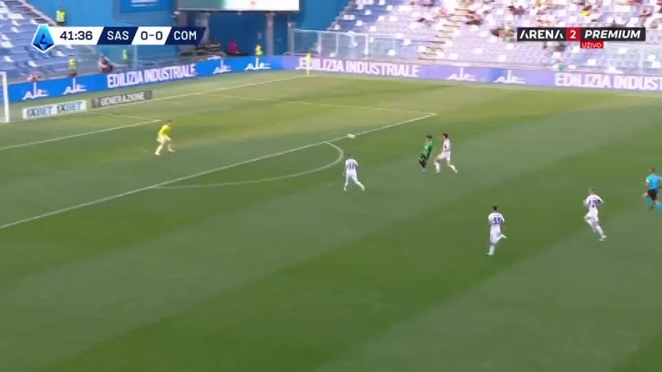 zaslepka skrotu video