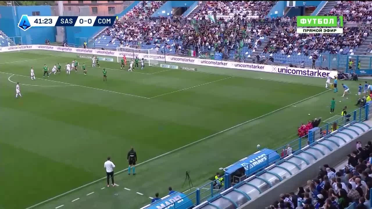 zaslepka skrotu video