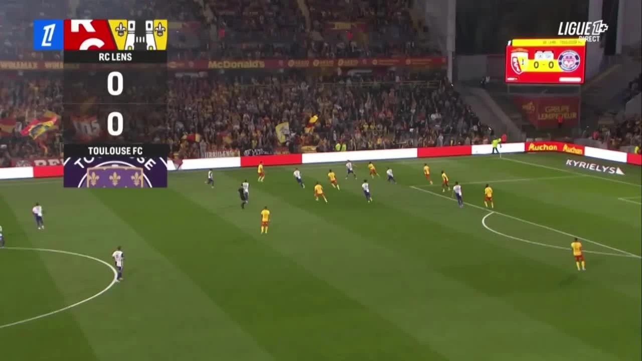 zaslepka skrotu video