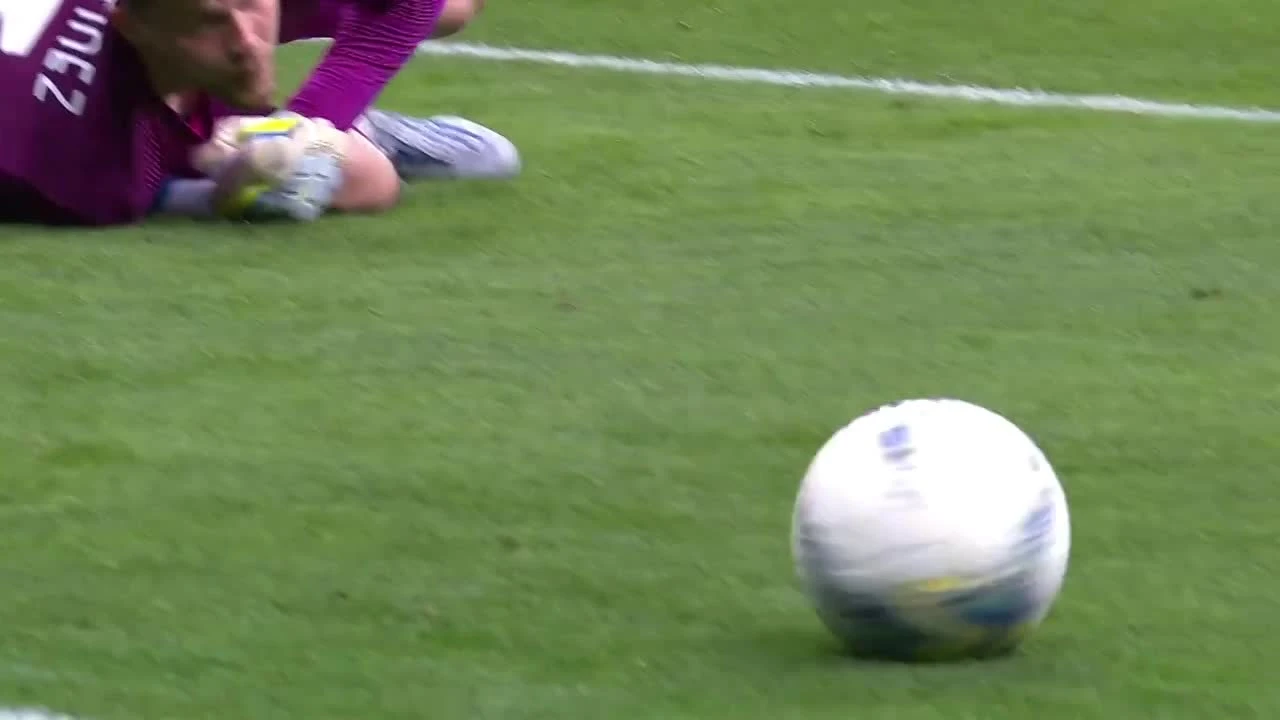 zaslepka skrotu video