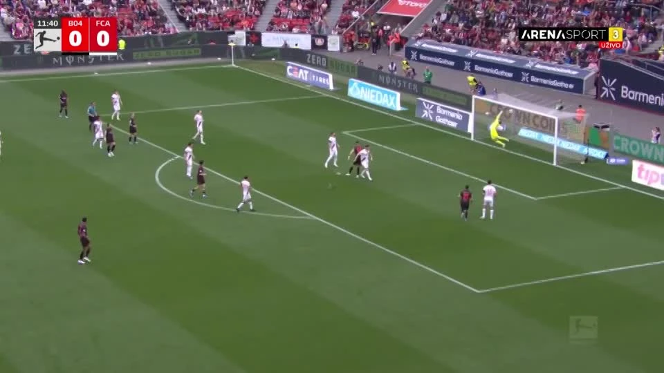 zaslepka skrotu video