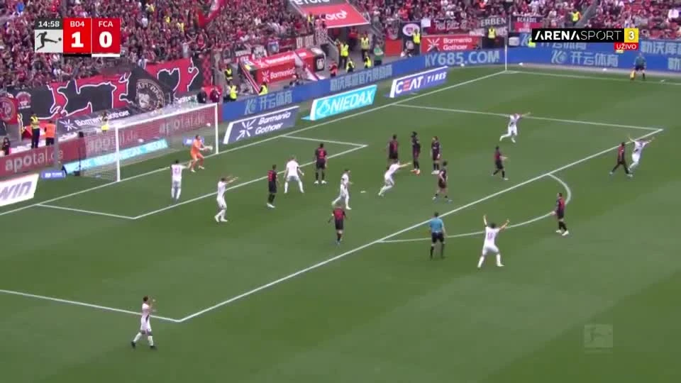 zaslepka skrotu video