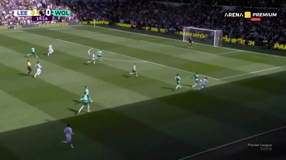 zaslepka skrotu video