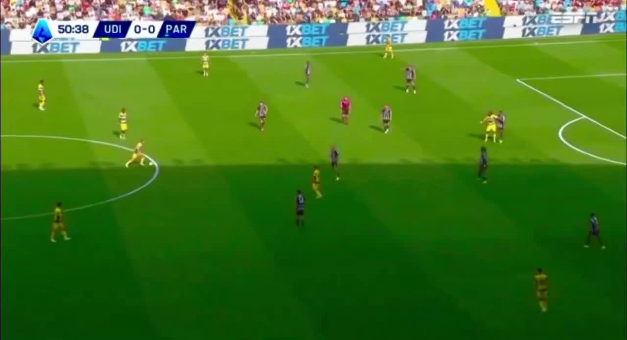 zaslepka skrotu video