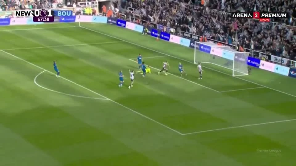 zaslepka skrotu video