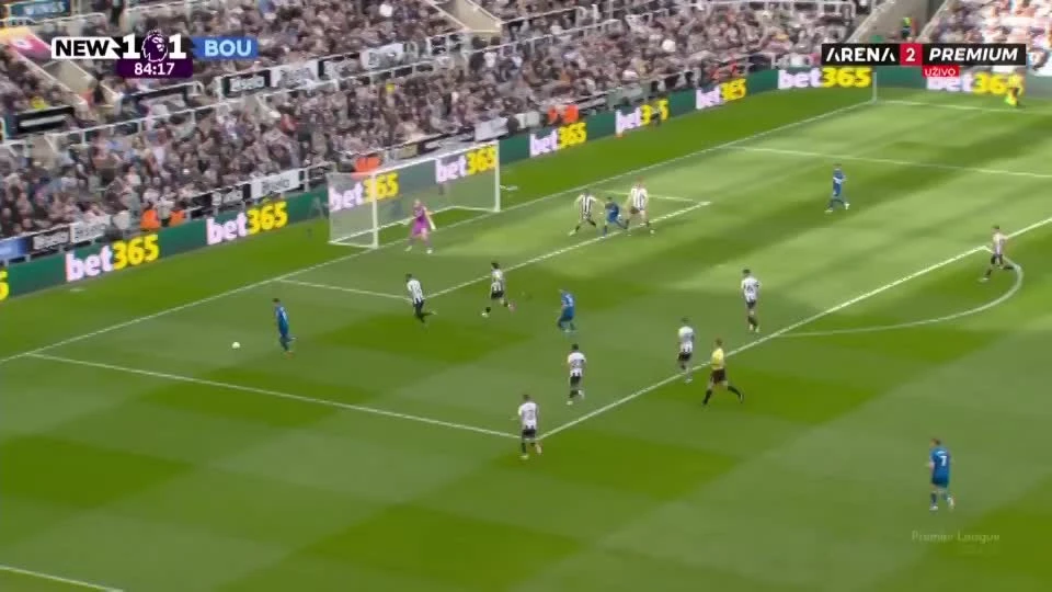 zaslepka skrotu video