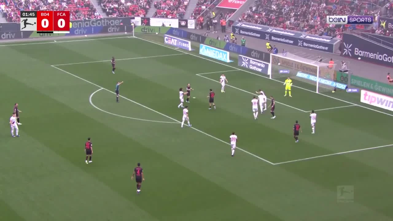 zaslepka skrotu video