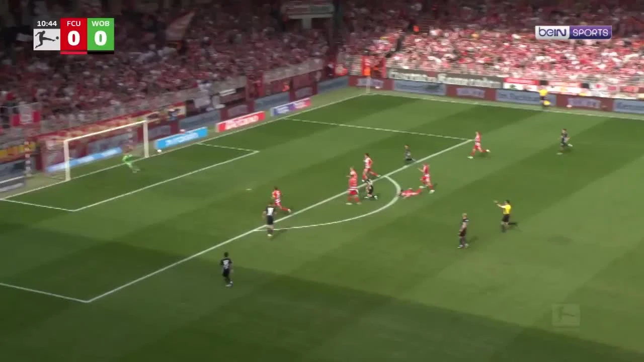 zaslepka skrotu video