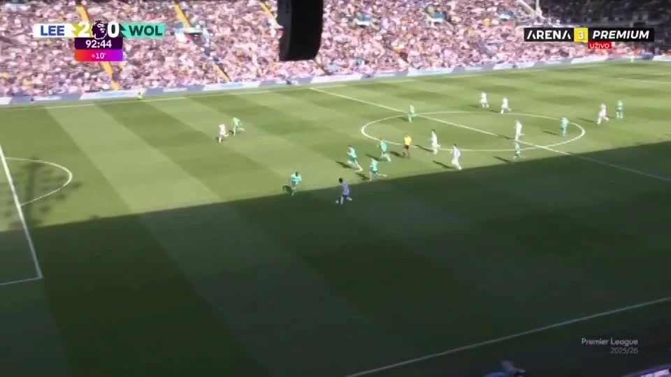 zaslepka skrotu video