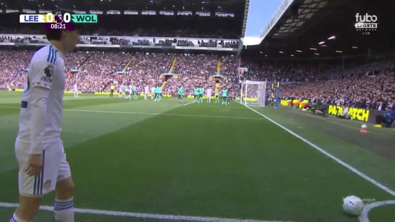 zaslepka skrotu video