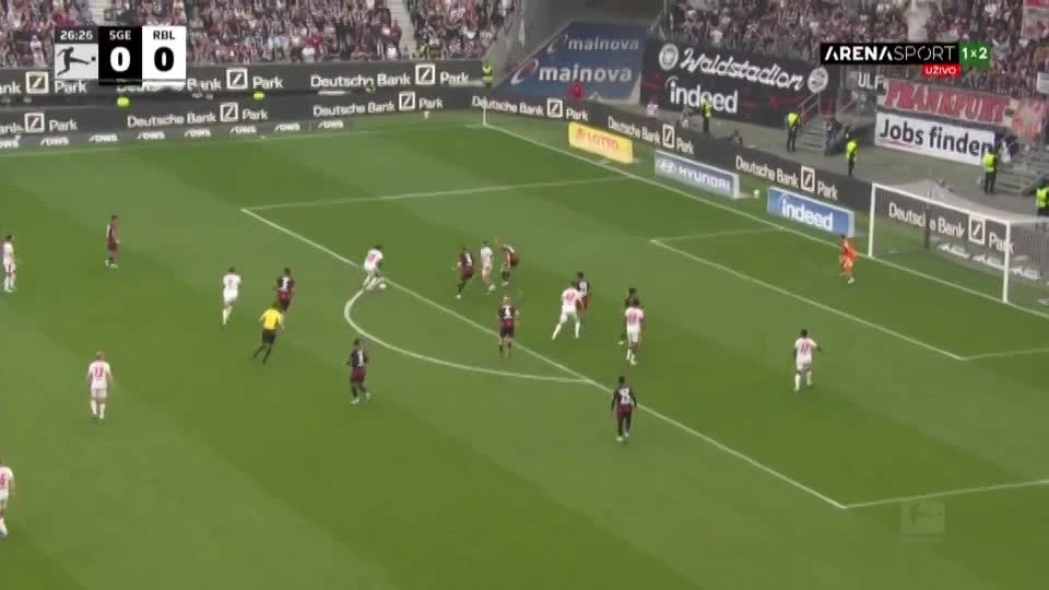 zaslepka skrotu video