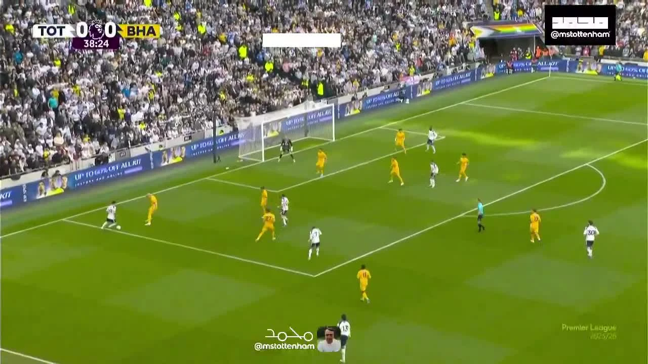 zaslepka skrotu video