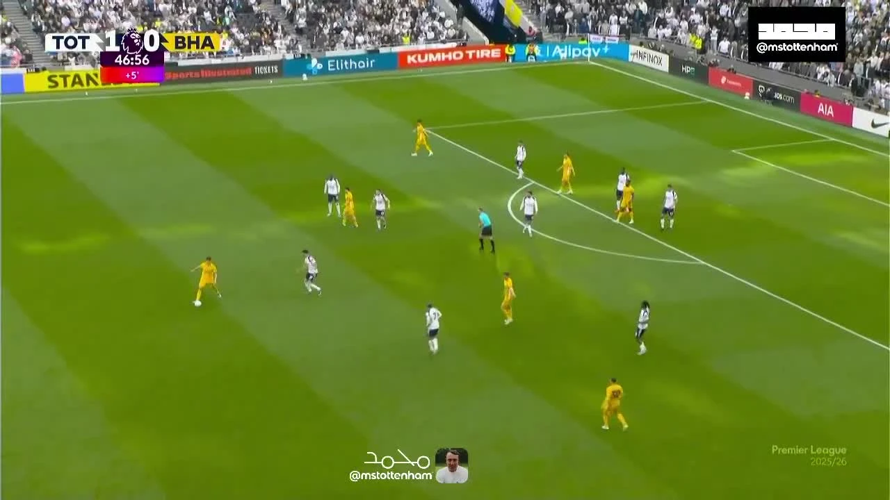 zaslepka skrotu video