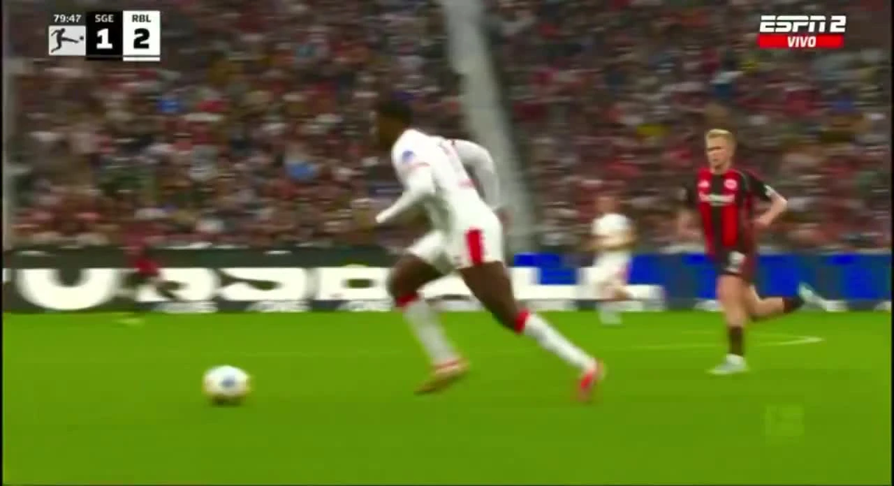 zaslepka skrotu video