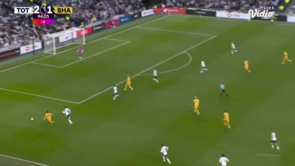 zaslepka skrotu video