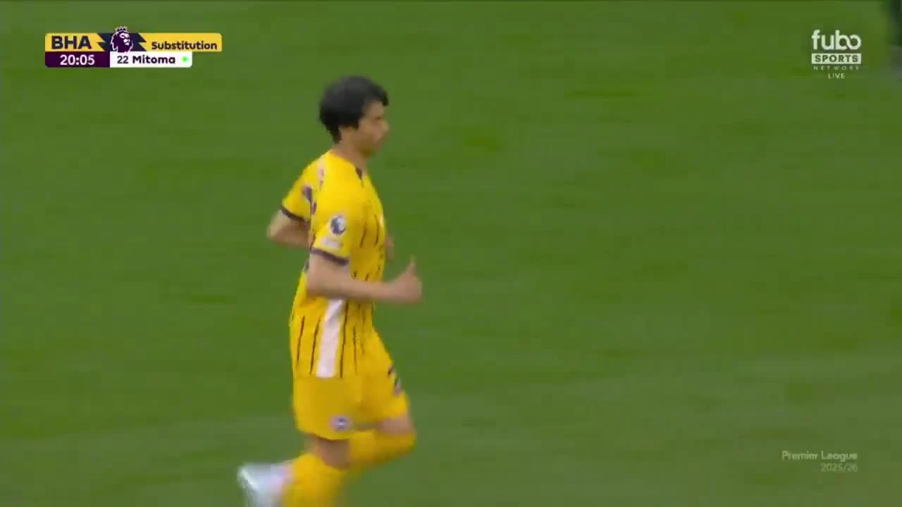 zaslepka skrotu video