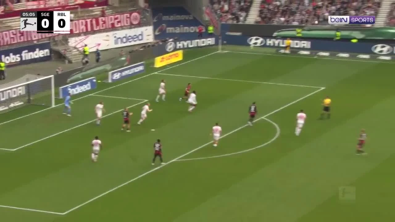 zaslepka skrotu video