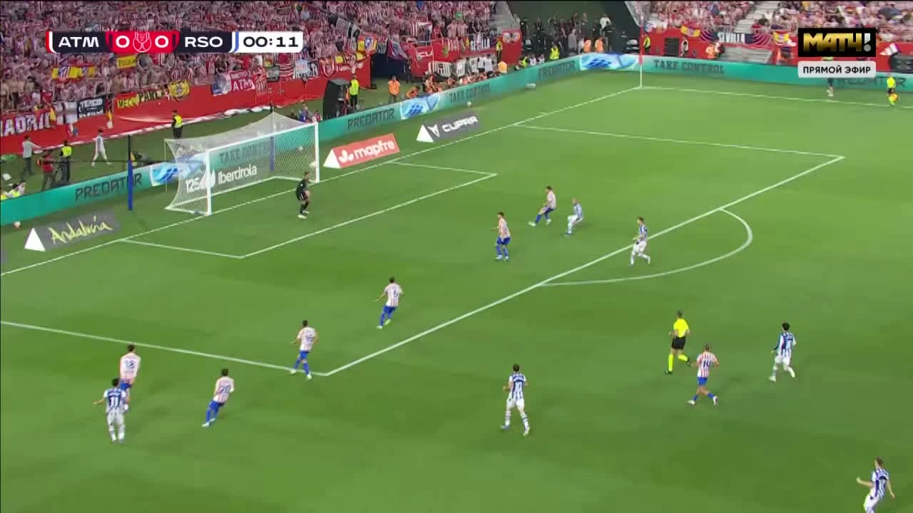 zaslepka skrotu video