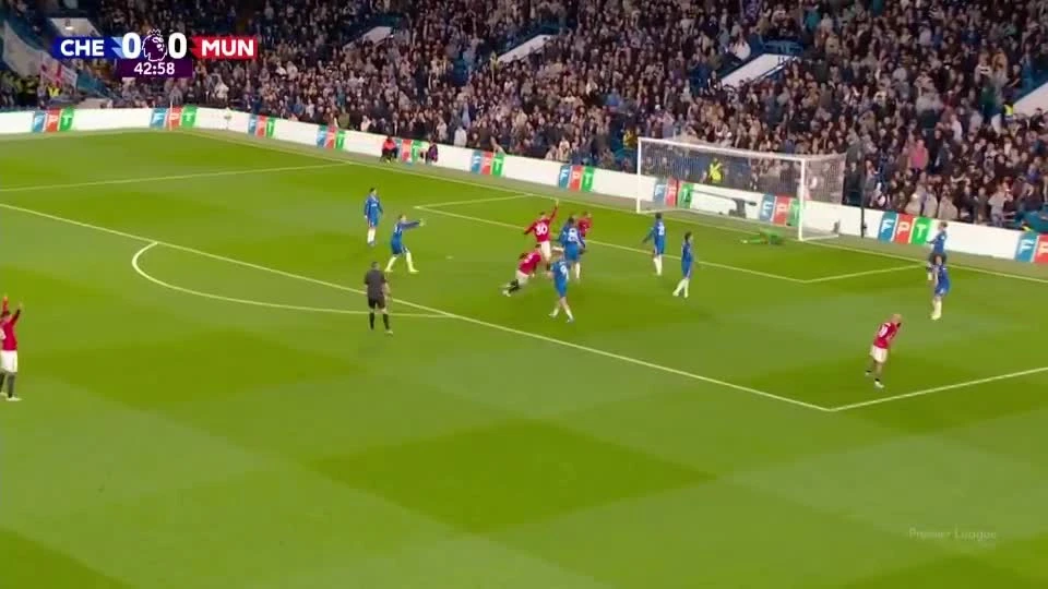 zaslepka skrotu video