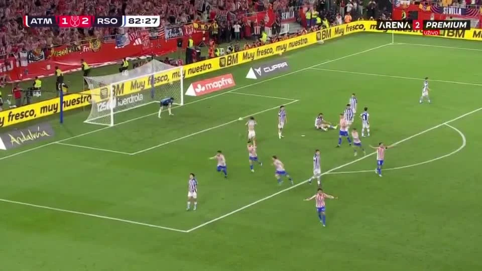 zaslepka skrotu video