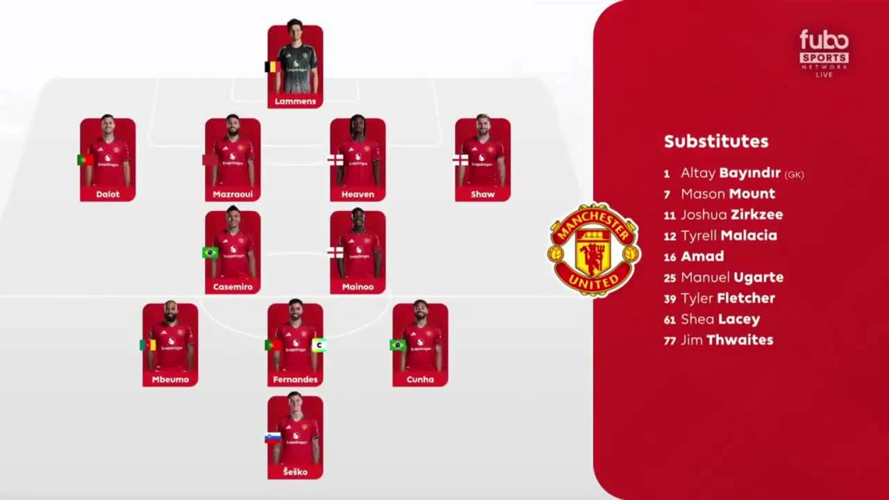 zaslepka skrotu video