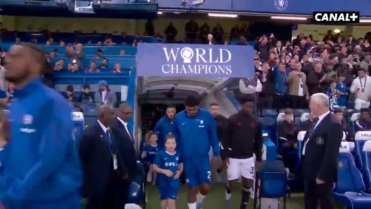 zaslepka skrotu video